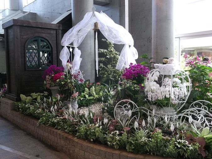 三陽ミュージアム 見頃の花 ６月１４日 千葉市花の美術館公式ブログ