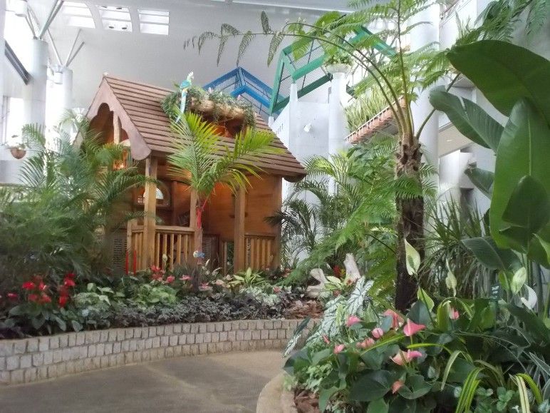 三陽ミュージアム 見頃の花 7月3日 千葉市花の美術館公式ブログ 三陽ミュージアム 見頃の花 7月3日 千葉市花の美術館公式ブログ