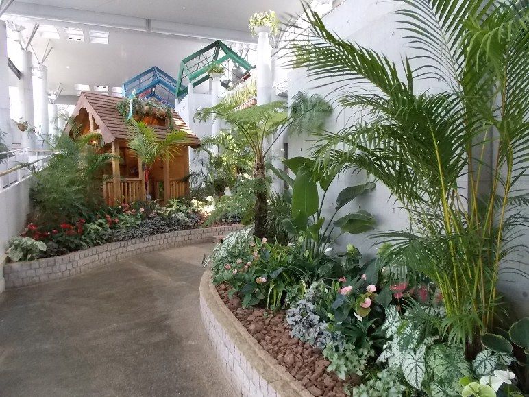 三陽ミュージアム 見頃の花 7月19日 千葉市花の美術館公式ブログ 三陽ミュージアム 見頃の花 7月19日 千葉市花の美術館公式ブログ