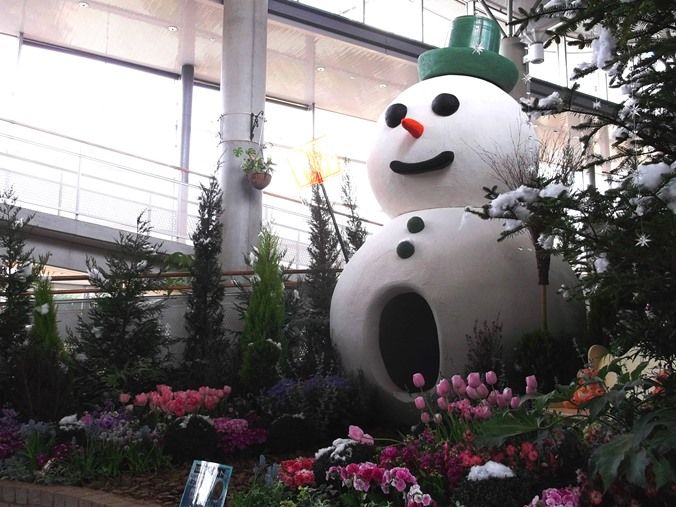 三陽ミュージアム 見頃の花 ２月２５日 千葉市花の美術館公式ブログ