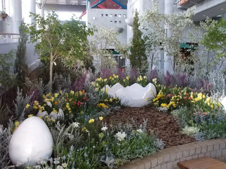 三陽ミュージアム 見頃の花 １月24日 千葉市花の美術館公式ブログ