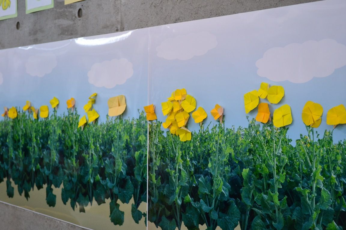 フェア 菜の花まつり で楽しみましょう １月１５日 千葉市花の美術館公式ブログ