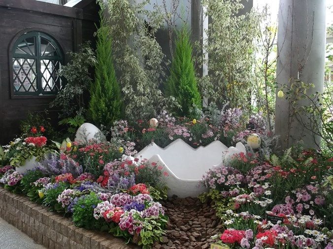 三陽ミュージアム 見頃の花 ３月３１日 千葉市花の美術館公式ブログ