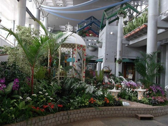 三陽ミュージアム 見頃の花 ７月１２日 千葉市花の美術館公式ブログ