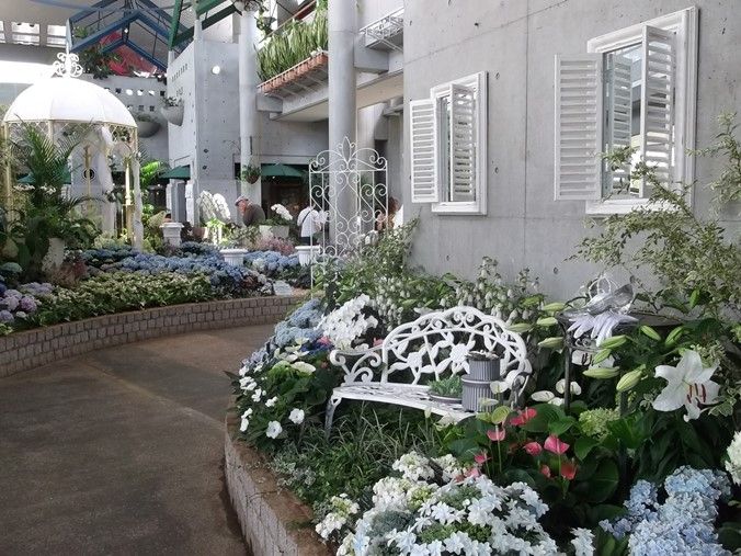 三陽ミュージアム 見頃の花 ６月１４日 千葉市花の美術館公式ブログ