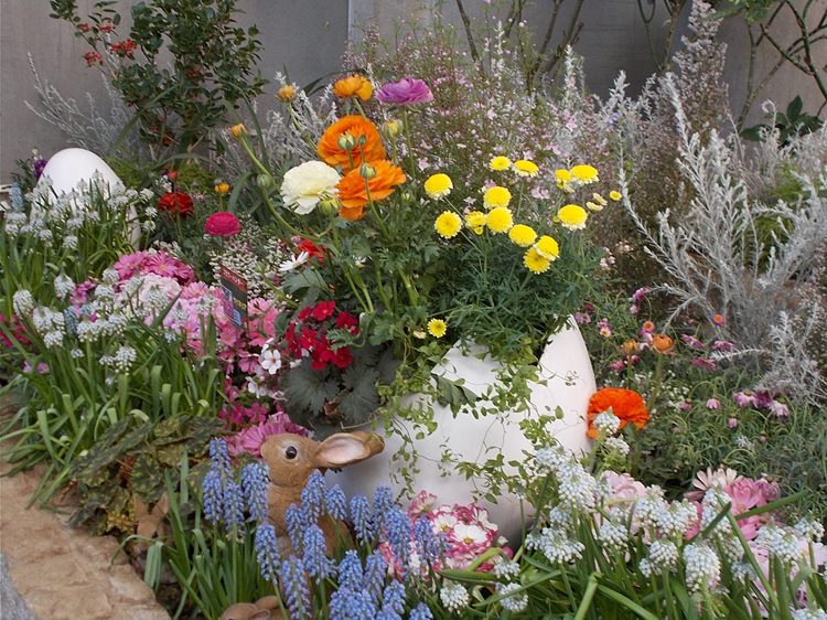 三陽ミュージアム 見頃の花 2月14日 千葉市花の美術館公式ブログ 三陽ミュージアム 見頃の花 2月14日 千葉市花の美術館公式ブログ