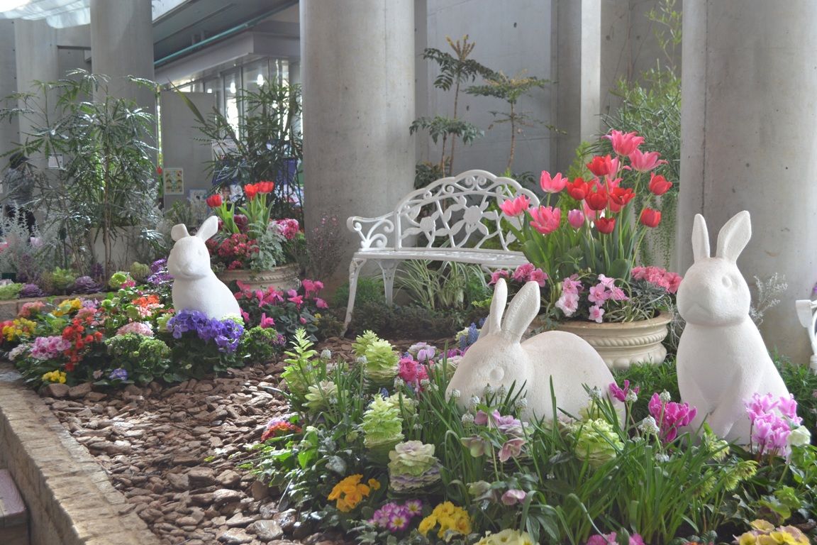 三陽ミュージアム 見頃の花 2月7日 千葉市花の美術館公式ブログ