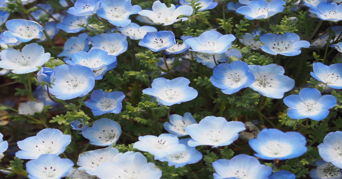 コスメ（美容＆ファッション）に関するWebメディア