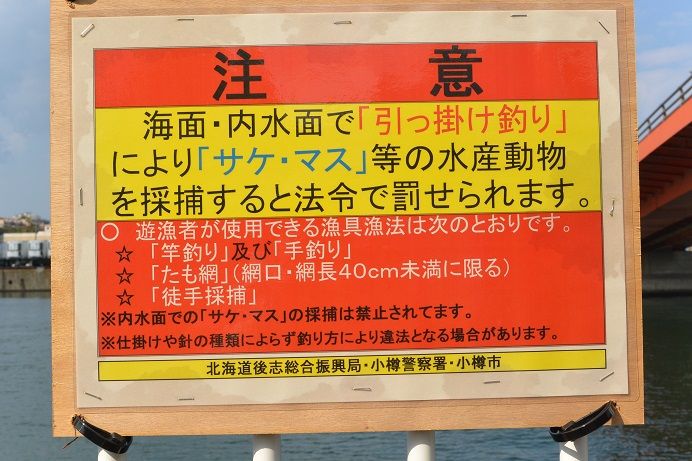 小樽の鮭釣り 釣りとキャンプと時々仕事 小樽の鮭釣り 釣りとキャンプと時々仕事