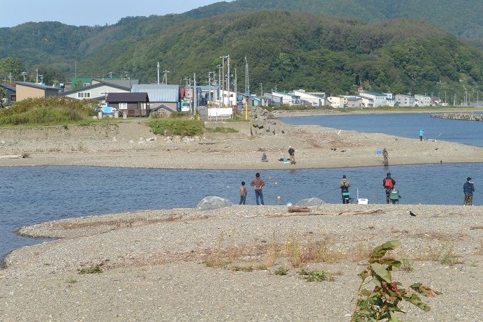 小樽の鮭釣り 釣りとキャンプと時々仕事