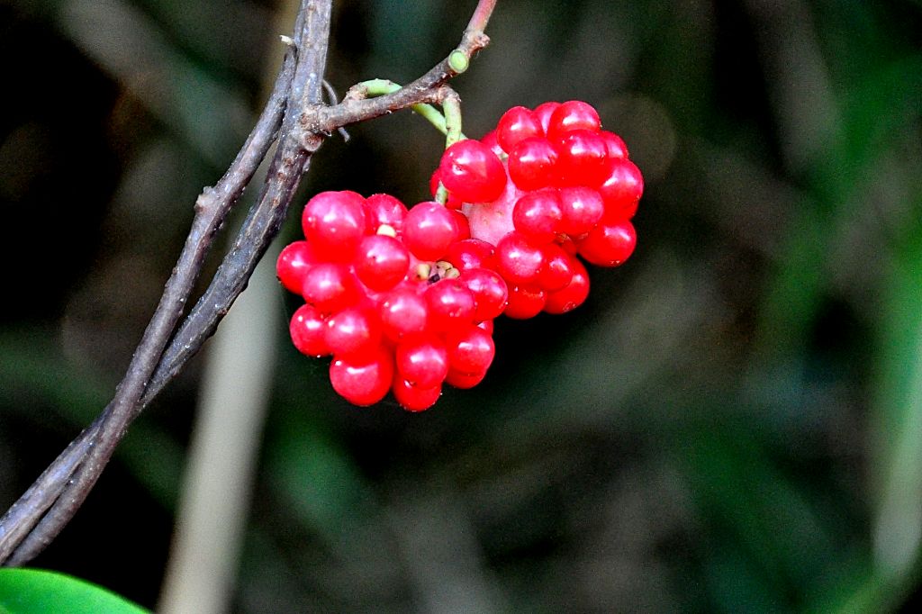 おはようございます アパッチのblog おはようございます アパッチのblog