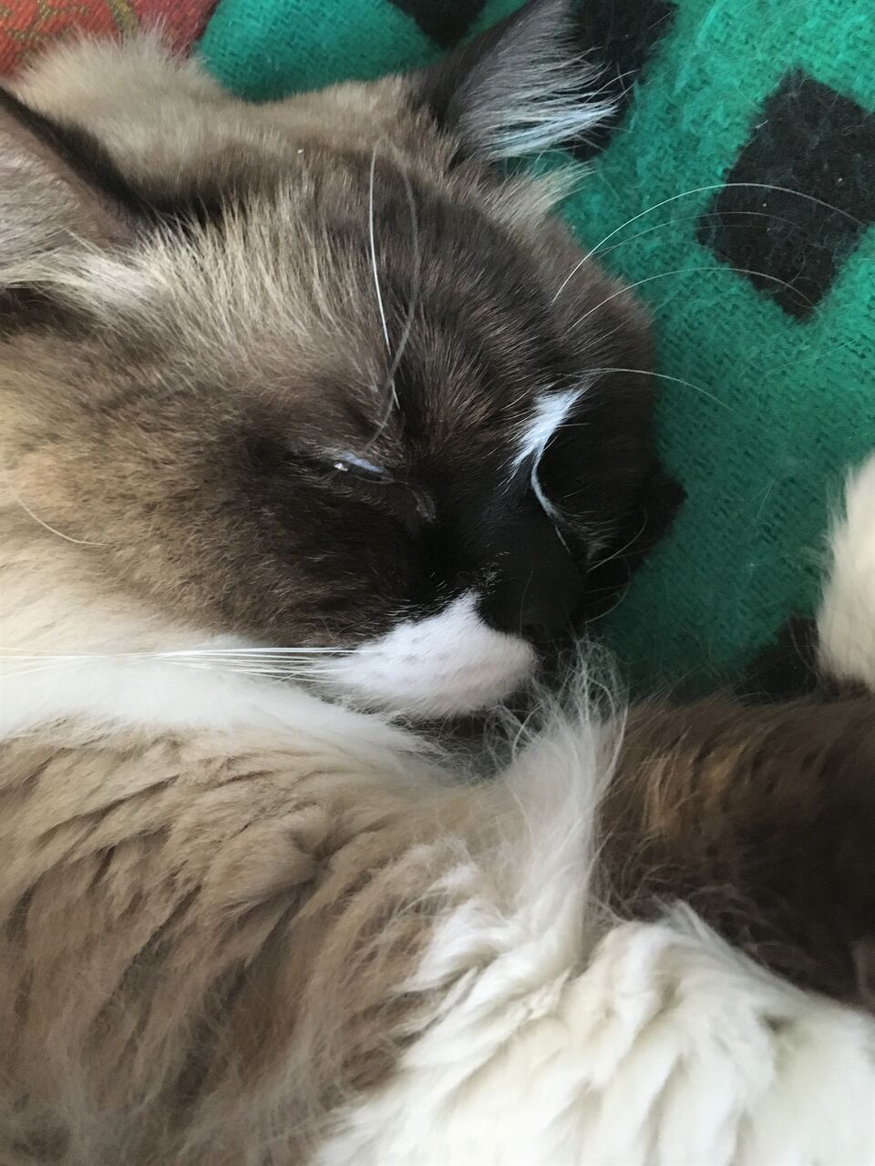 淡いブルーのアイライン はなまる 稲妻ライト