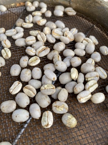 FCD52E44-3B09-457C-BBA5-F22E211B2F44_1_105_c