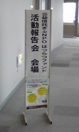 4d232158.jpg