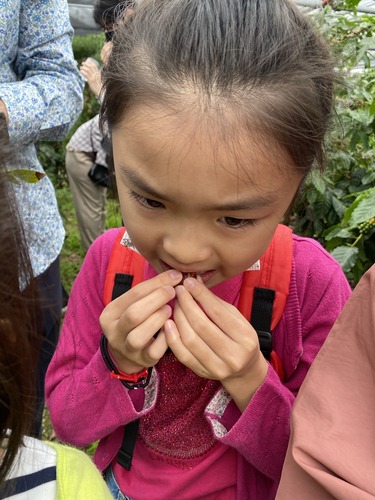 54E1E9E4-154A-4DA4-A638-F963E8B15291_1_105_c