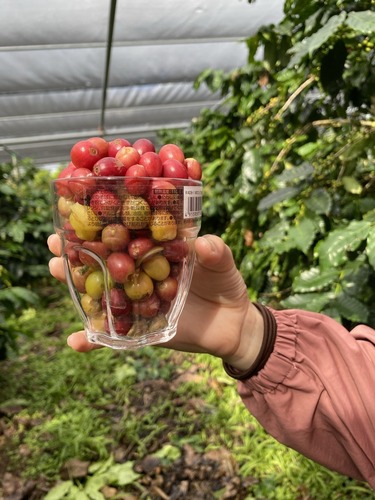 52D007C7-10FE-429F-9885-FDA1641AC2B5_1_105_c