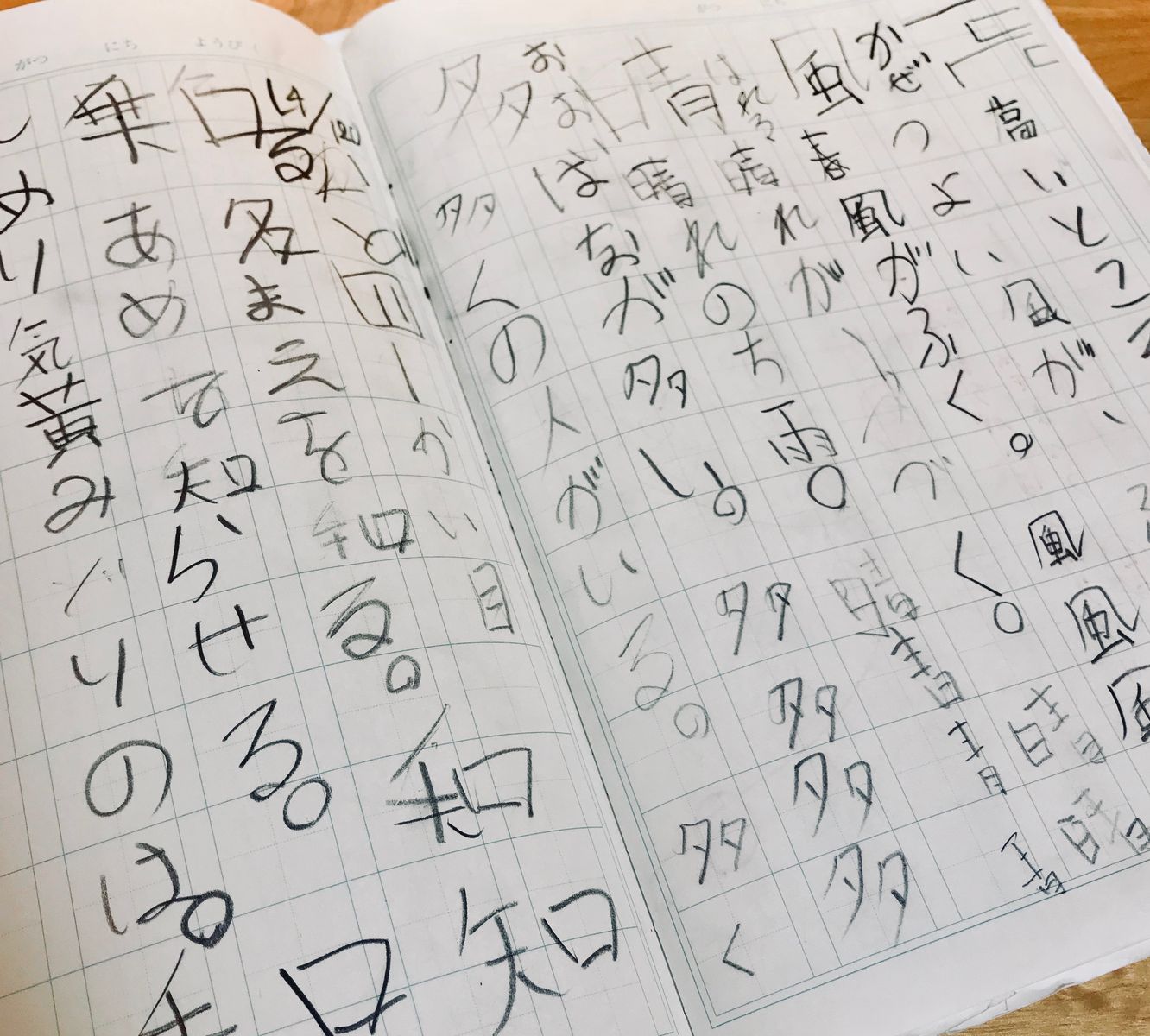 子育てへの正解ってどこにあるのか本当に知りたいと思った 小学2年生の投げやりな宿題 高嶋舞の子育てとコンサルと 子どもや企業 人の魅力を引き出す