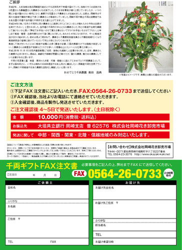 okazaki_kaki