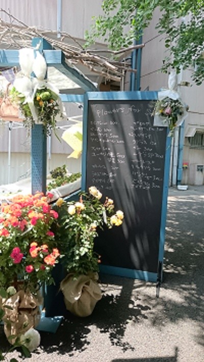 蚤の市3