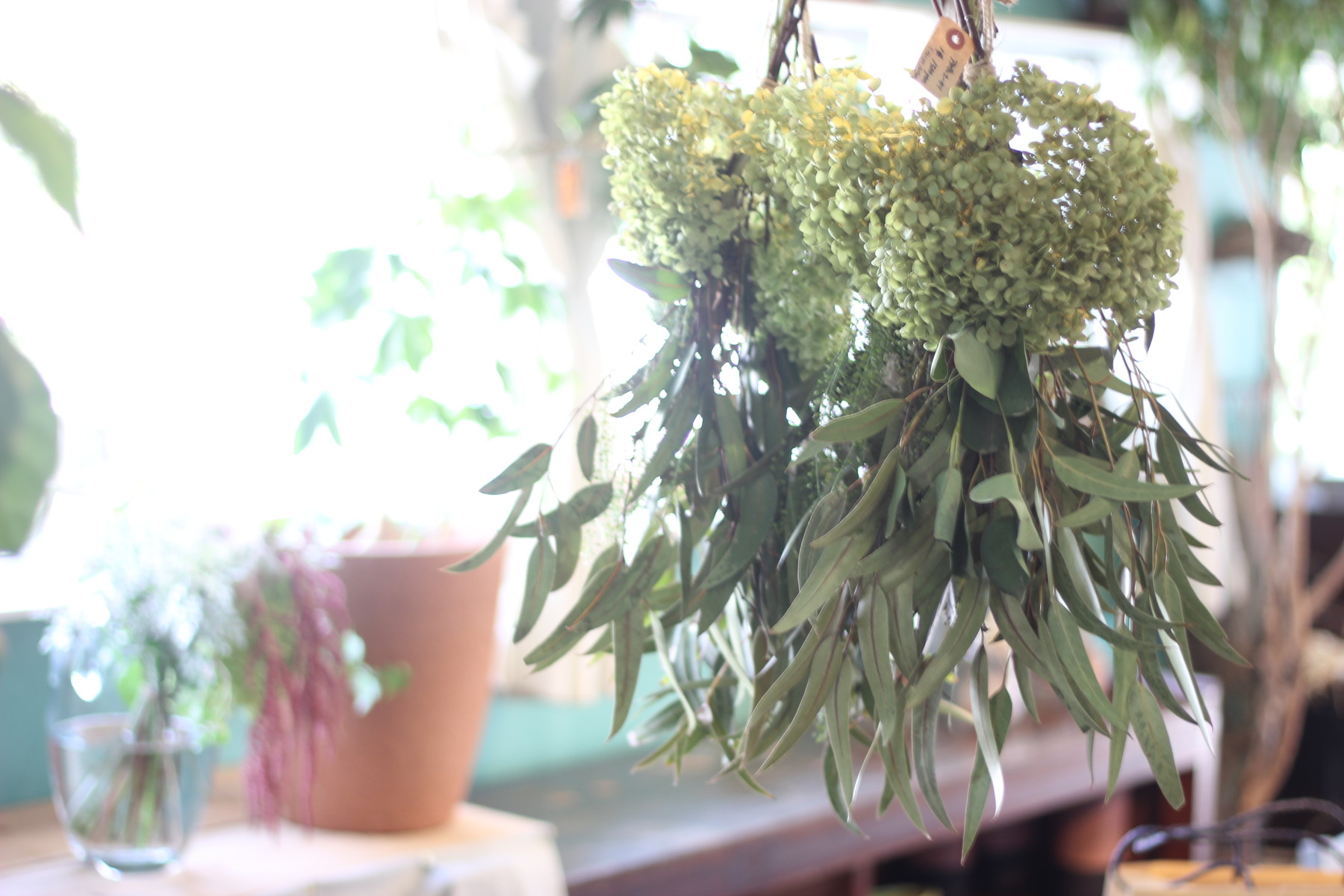 ドライのお花の楽しみ方 花屋のhanashi Hanadocoro Enn ドライのお花の楽しみ方 花屋のhanashi Hanadocoro Enn