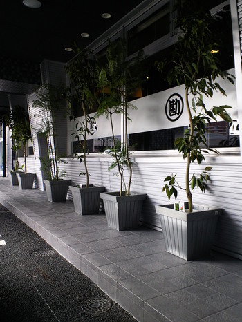 OPEN���ǥ����ץ졼