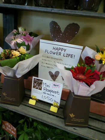 HAPPY FLOWER LIFE