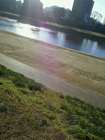 ���������ɤ�ī