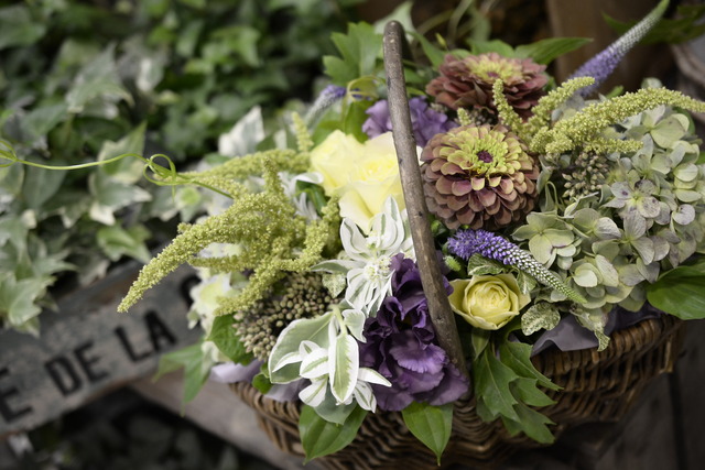 �򤷤�1���֤λϤޤꡣ