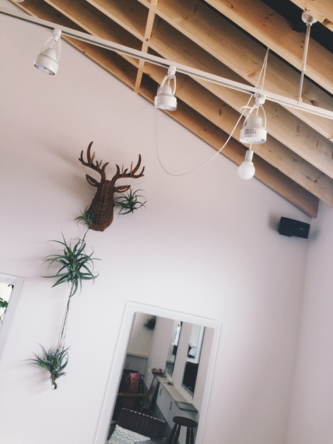 OPENING�Τ���������