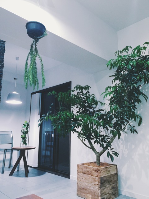 GREEN��COORDINATE