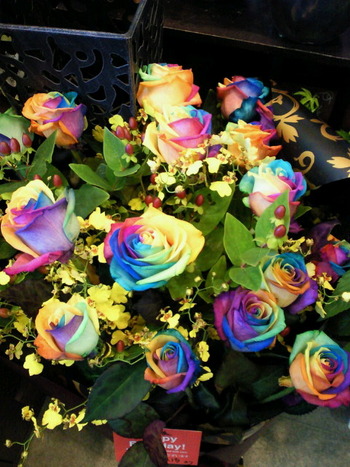 RAINBOW ROSE�Τ���ʸ
