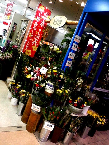 �޽դΤ��֤��Ѱդ��Ƥ��ޤ���