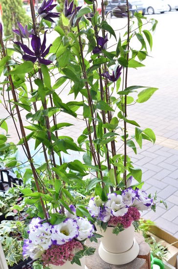 �ФΥ����ƥ�