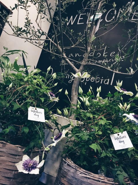 hanadokei flower works company��Mother�ǣ�day