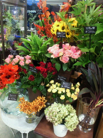 ���֤Τ�������