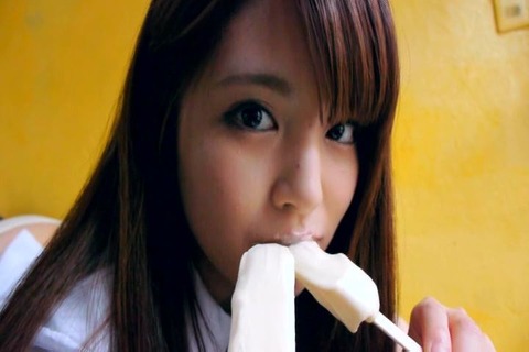 パピヨン 鈴鹿 FSLV-001 (26)