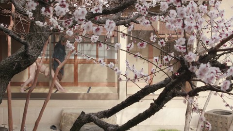 緊縛調教妻 浜崎真緒 GMA-021 (38)