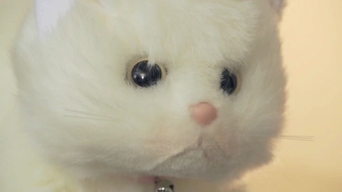 瀬奈まお AV debut STAR-519 (39)