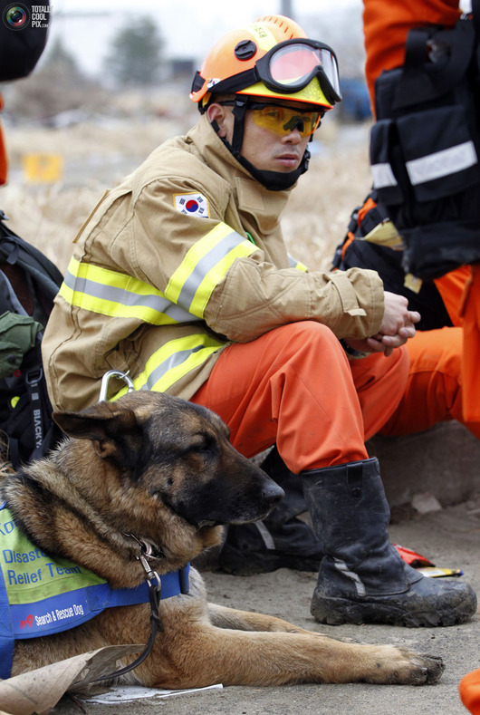 rescue_039