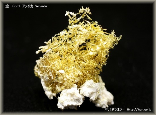 gold541