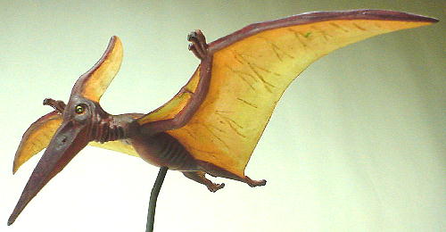 ptera_1
