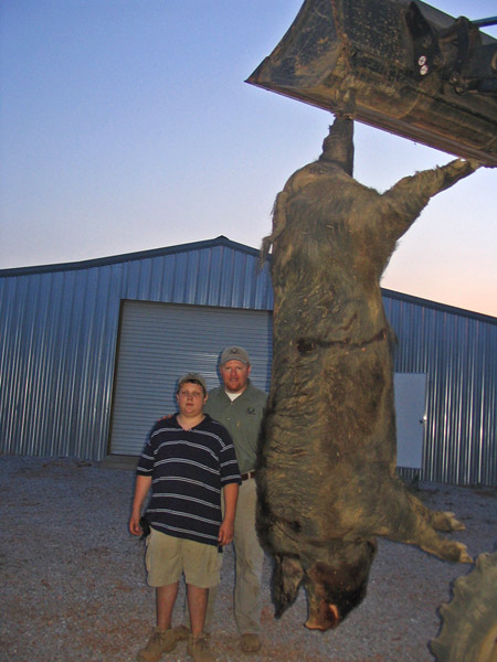 bigpig2la3