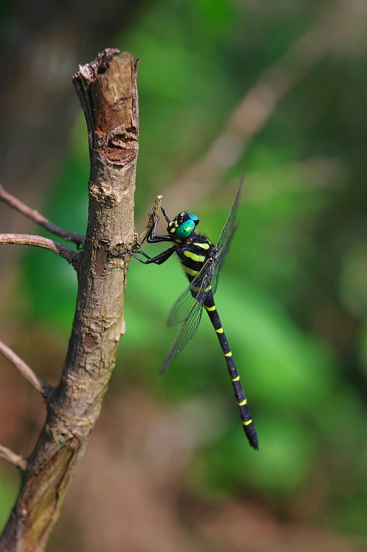 imc_443e980400bce5373b6ee8b30373c037bdc6a050