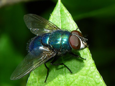 2009050523113784d
