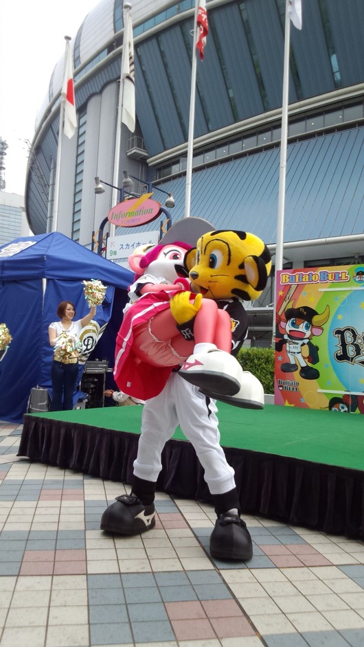 SYSp6