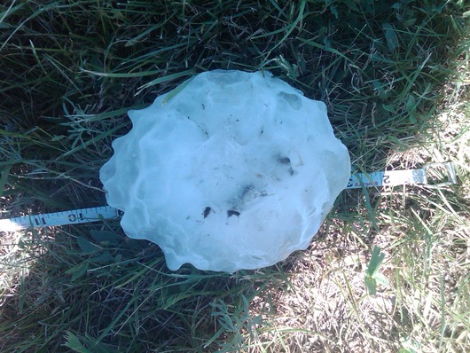 LargeHail31
