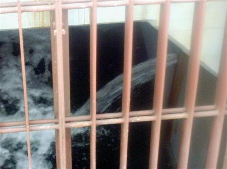 fks11040312500006-p3