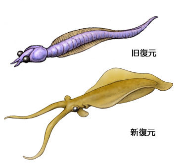 nekutokarisu