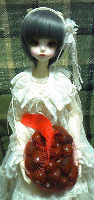 vd20005008
