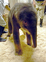 20110918k0000m040042000p_size5